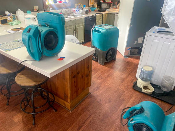 Best Water damage restoration near me  in Harrah, OK