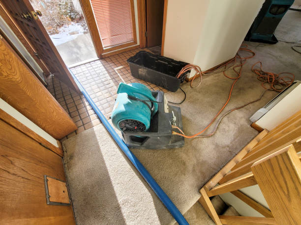 Best 24-hour water damage restoration  in Harrah, OK