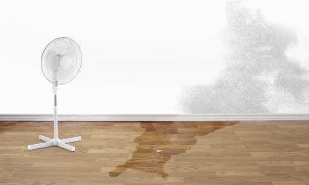 Water damage restoration mold remediation in OK