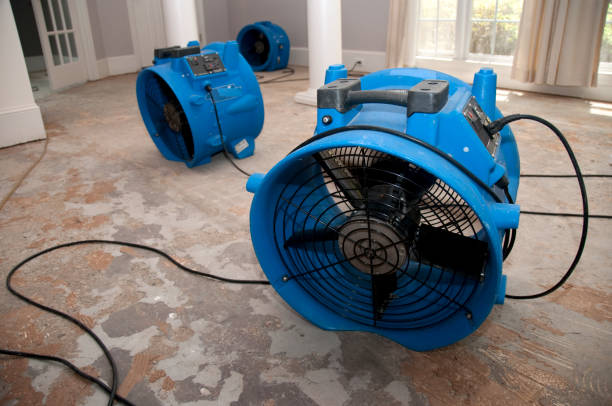 Best Ceiling water damage repair  in Harrah, OK
