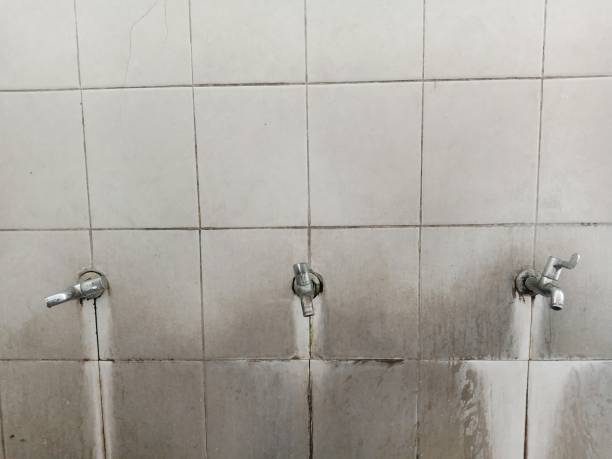 Best Professional water damage repair  in Harrah, OK