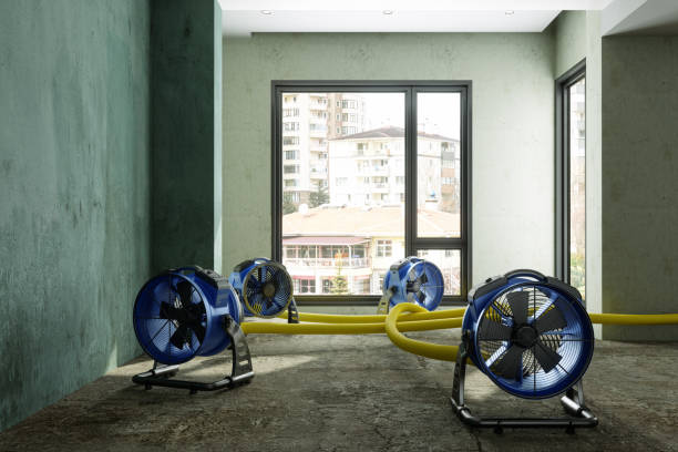 Sewage cleanup and water damage restoration in OK